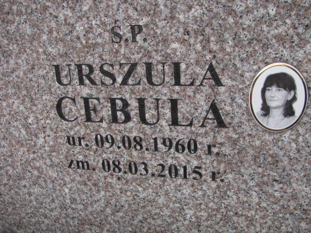 Mariusz Cebula 1979 Gdów - Grobonet - Wyszukiwarka osób pochowanych