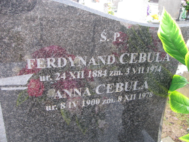 Ferdynand Cebula 1884 Gdów - Grobonet - Wyszukiwarka osób pochowanych